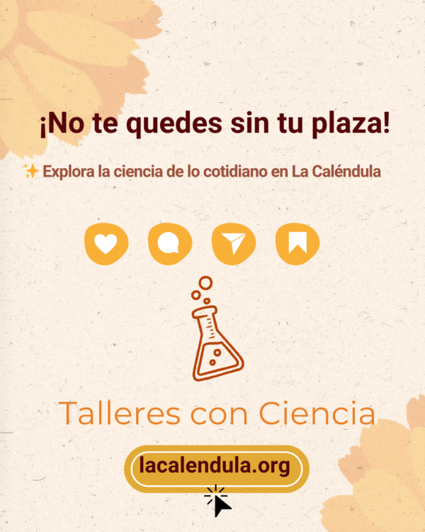 Taller de Ciencia Infantil: ¿Sólido o líquido? Experimentos con líquidos no newtonianos - Imagen 3