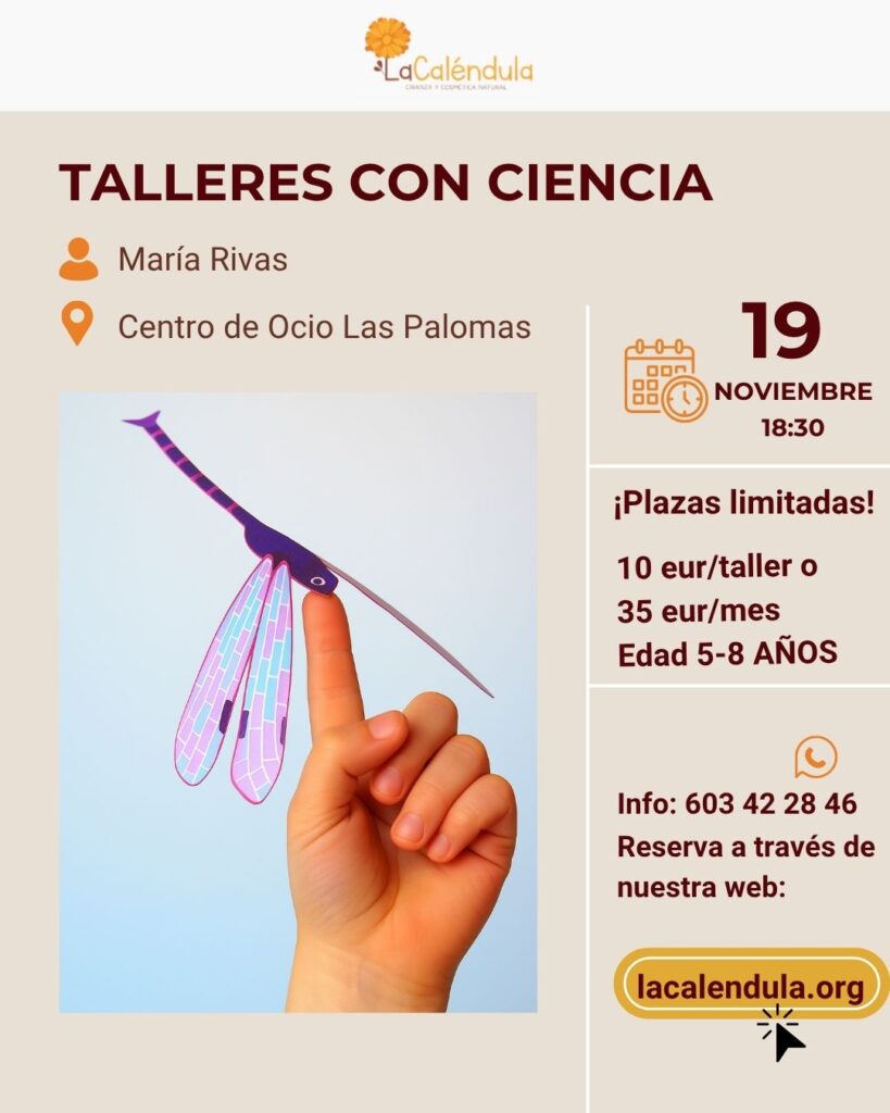 taller ciencia y arte para niños la calendula
